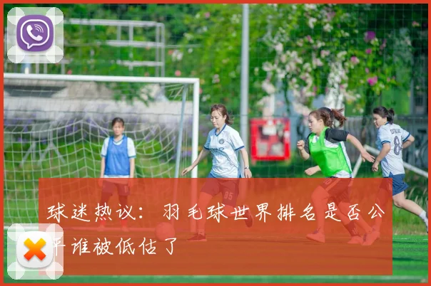 球迷热议:羽毛球世界排名是否公平谁被低估了