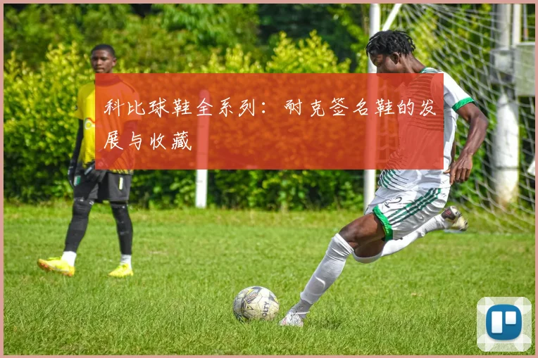科比球鞋全系列:耐克签名鞋的发展与收藏